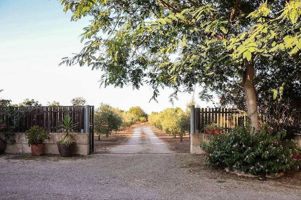 Foto 9 von 24: Villa Ponent, your little paradise in the middle of more than 1200 olive trees