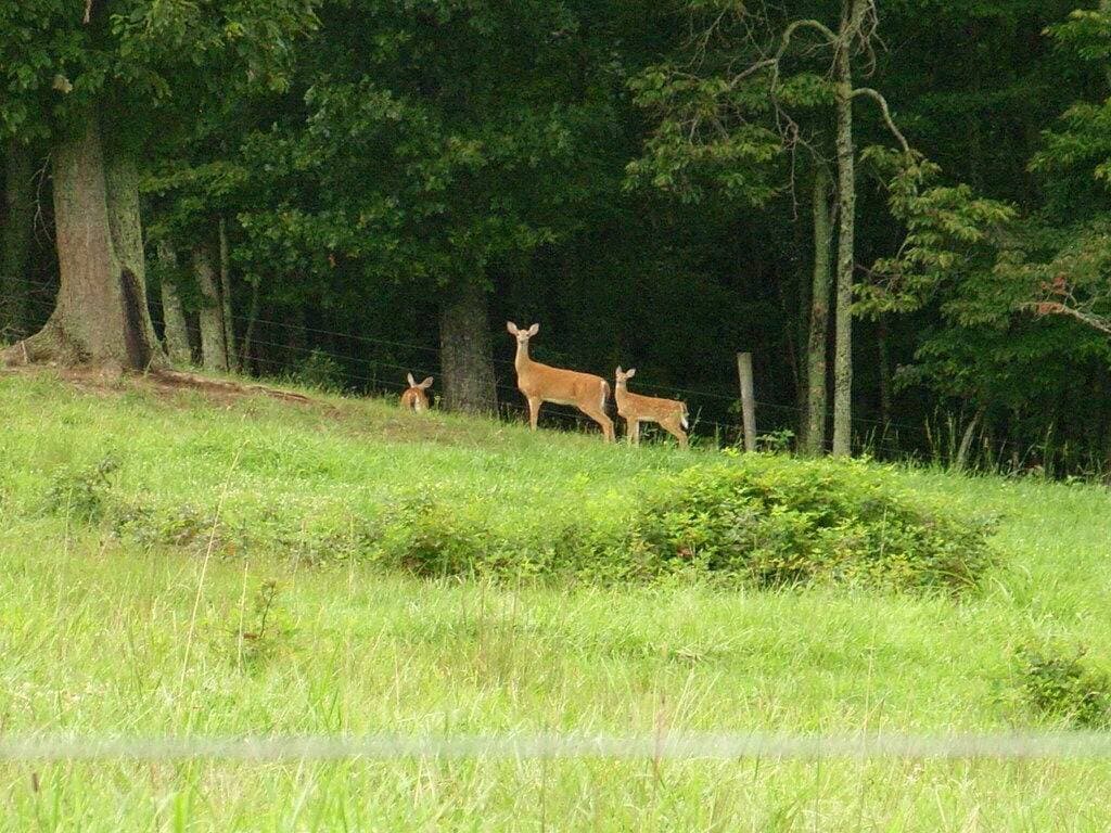 Foto 12 von 28: Paare Wochenende mit einem Groß Mountain View