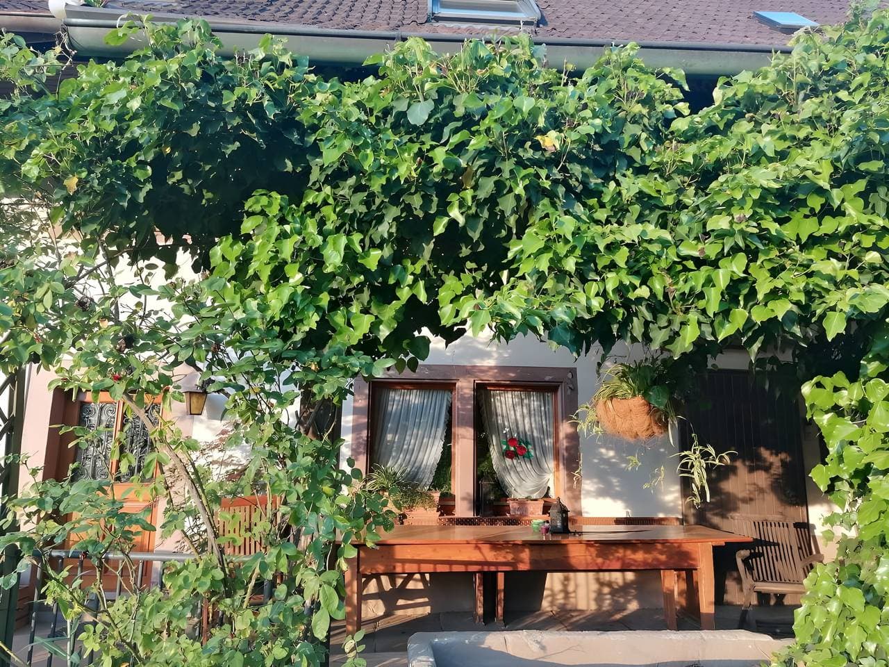 Foto 13 von 17: Doppelzimmer Lindenblüte - Laulisgraben Hideaway Tm