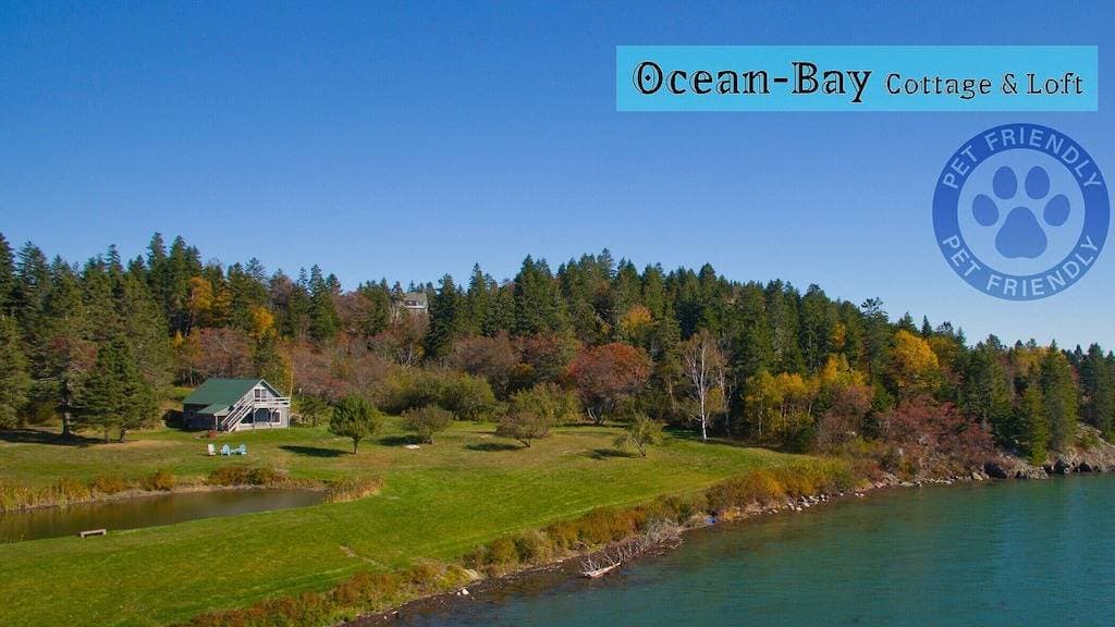 Foto 8 von 23: Blick auf die Cobscook Bay (Rossport am Meer)