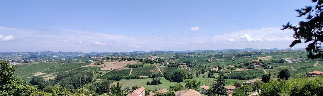 Foto 3 von 18: Cascina Luisa, Calosso