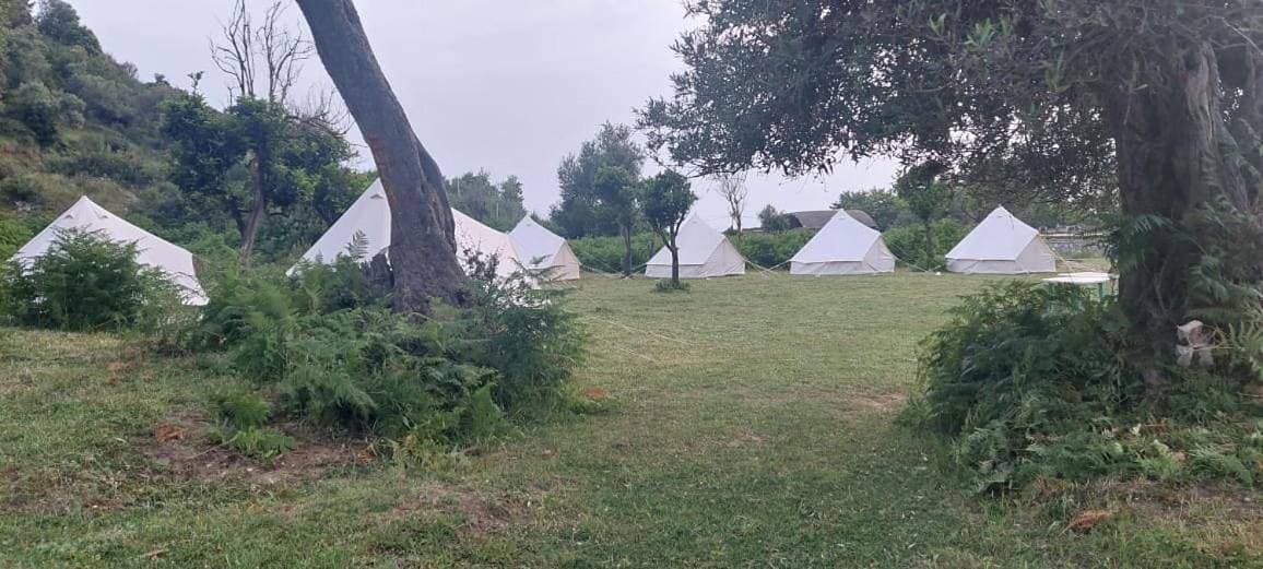 Foto 3 von 8: Tent