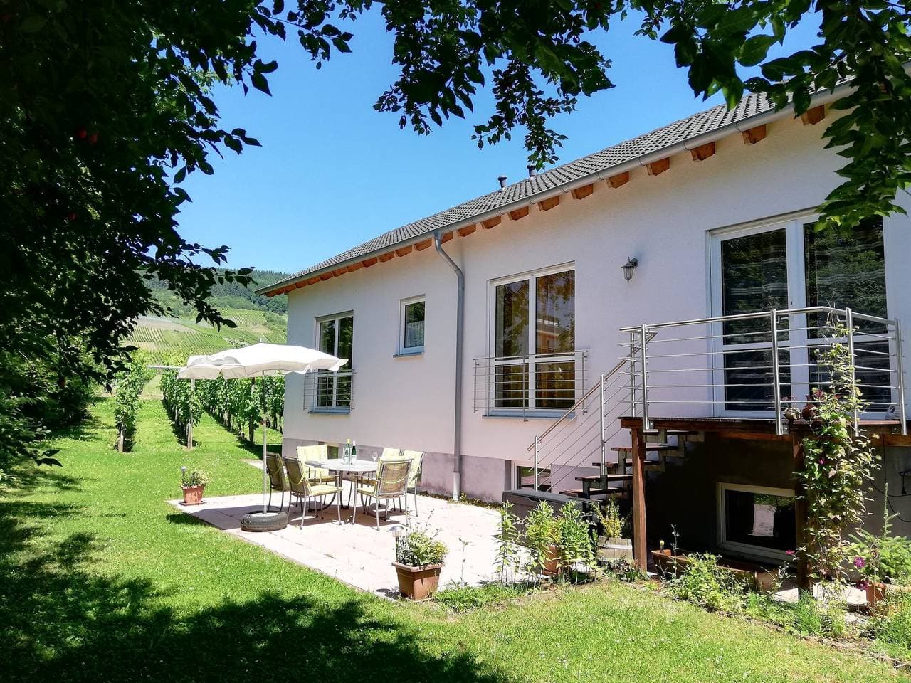 Steuer, Weingut 1