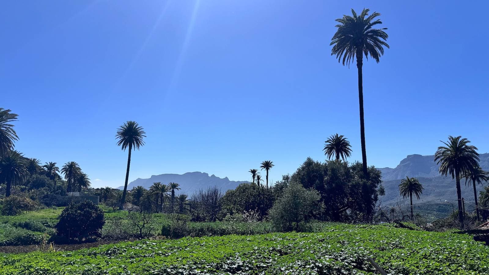 Foto 7 von 35: Palmeral de Taidía – Casa 3 mit Bergblick, WLAN und Klimaanlage