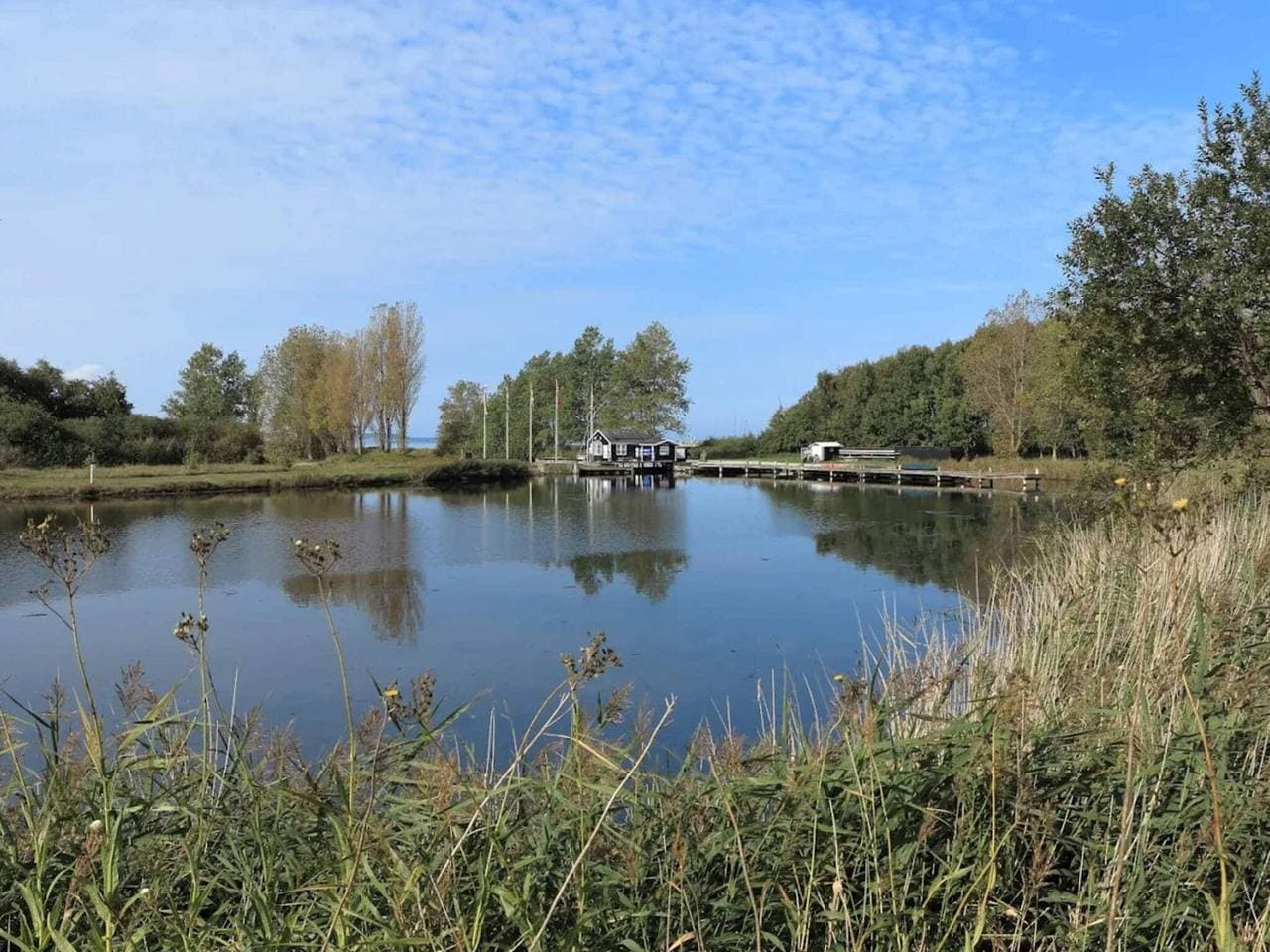 Foto 11 von 38: 4 Personen Ferienhaus in Ebeltoft