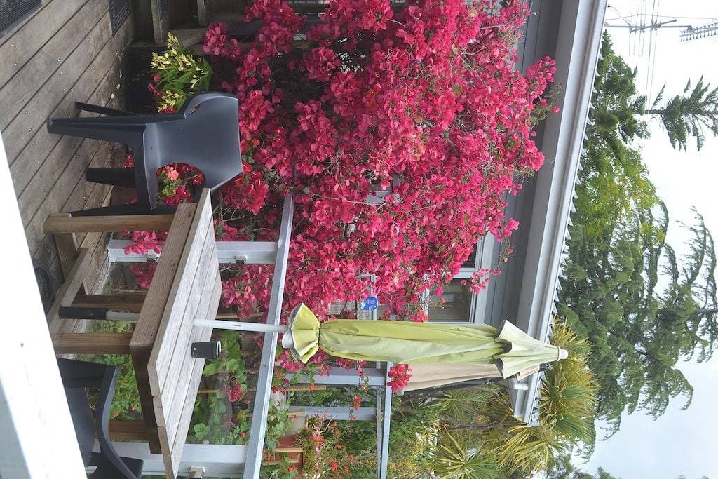 Der geheime Garten Torbay 1