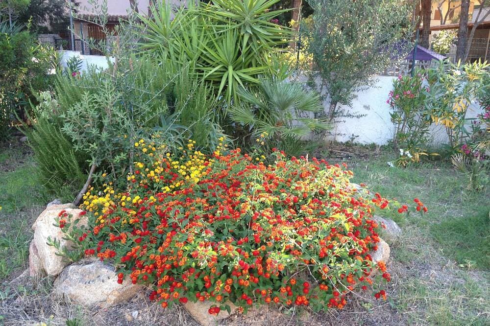 Foto 11 von 27: Villa Paradiso, in the beach by foot, big garden,  Wifi, all inclusive