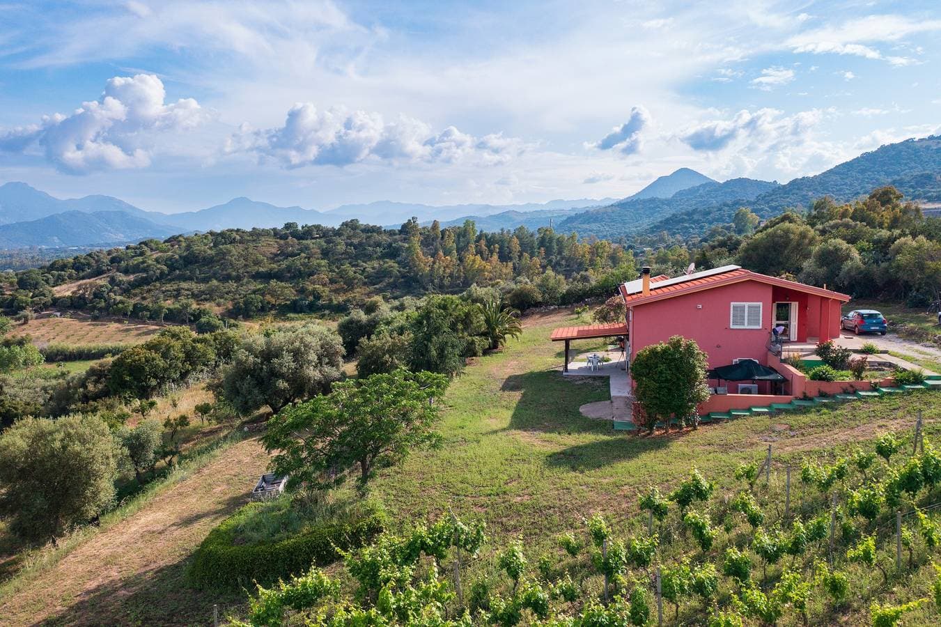 La Collina degli Ulivi 1
