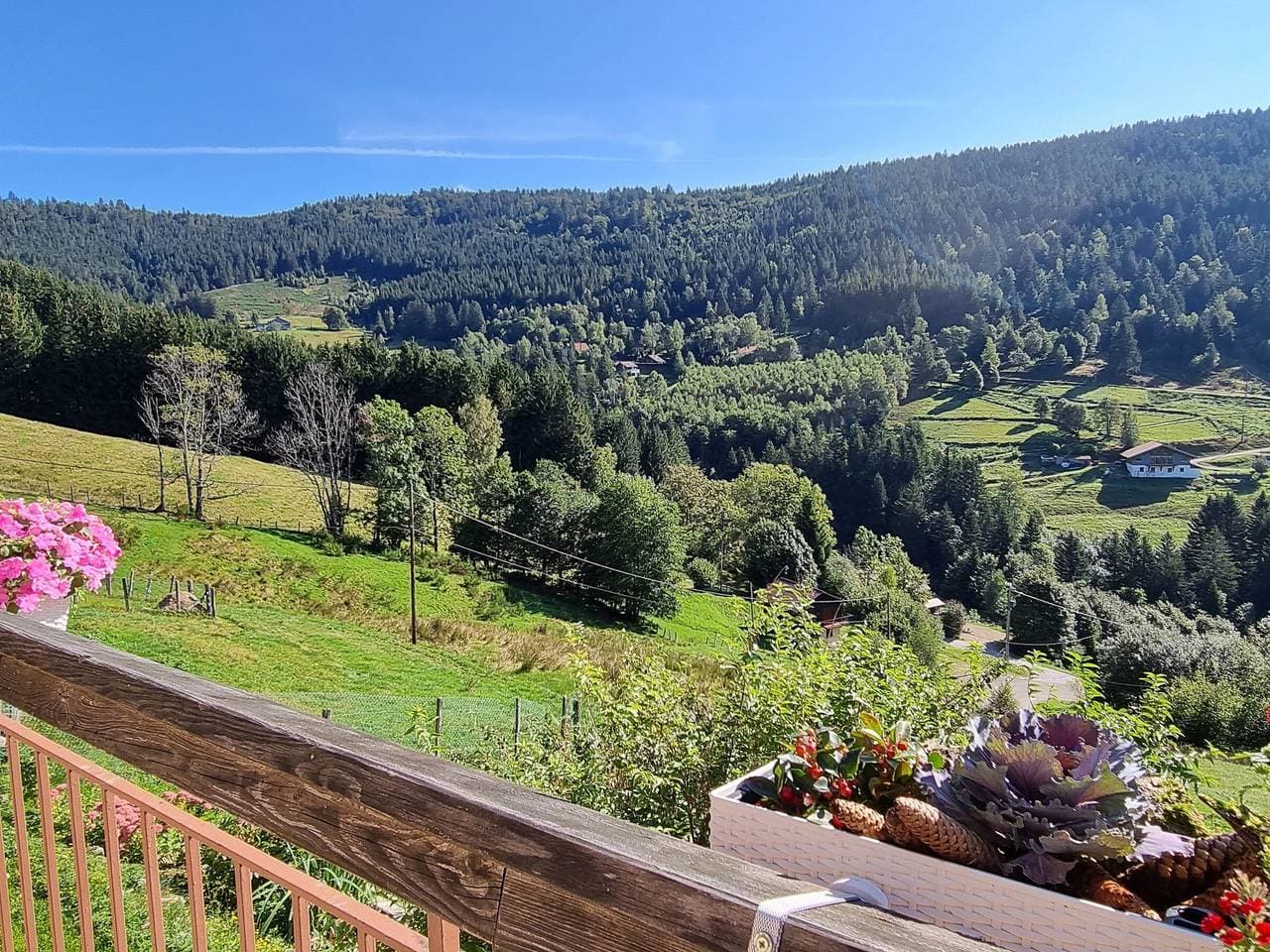 Foto 4 von 33: Gästezimmer in den Bergen, Haustiere erlaubt