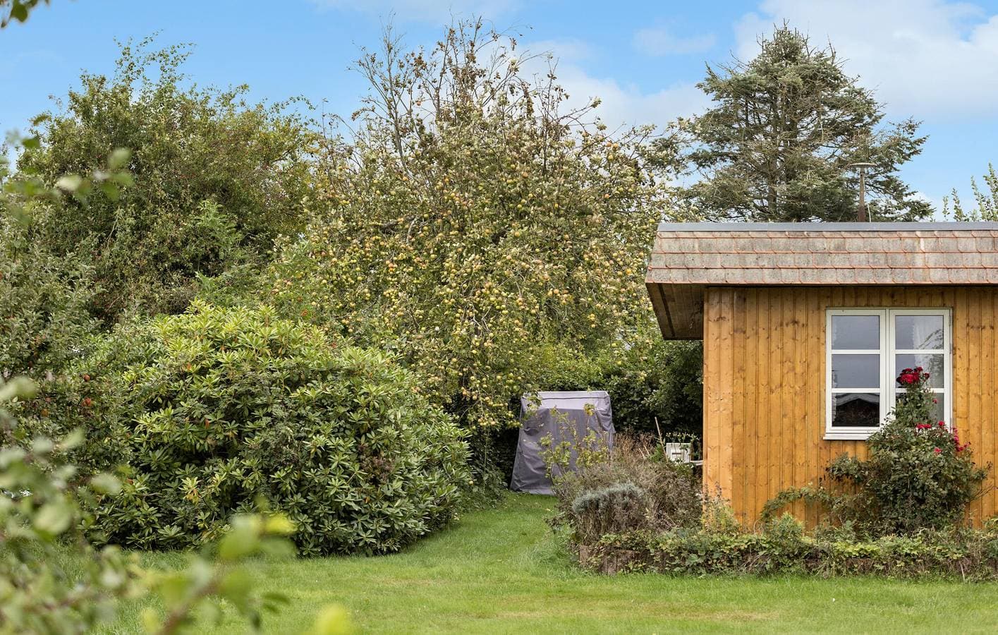 Foto 10 von 18: Ferienhaus für 4 Personen mit Garten