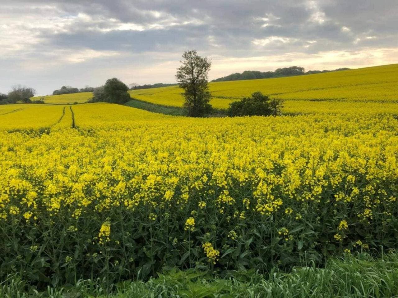 Foto 6 von 39: Charmantes Fischeranwesen