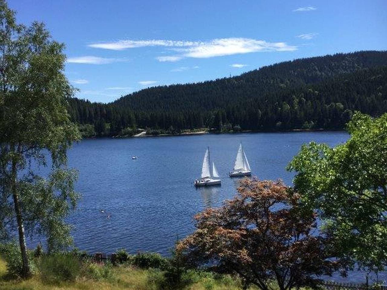 Foto 8 von 50: Seepark Schluchsee - Ferienwohnung Seepark Schluchsee 75qm, 1 Schlafzimmer,  Terrasse, max. 2 Personen