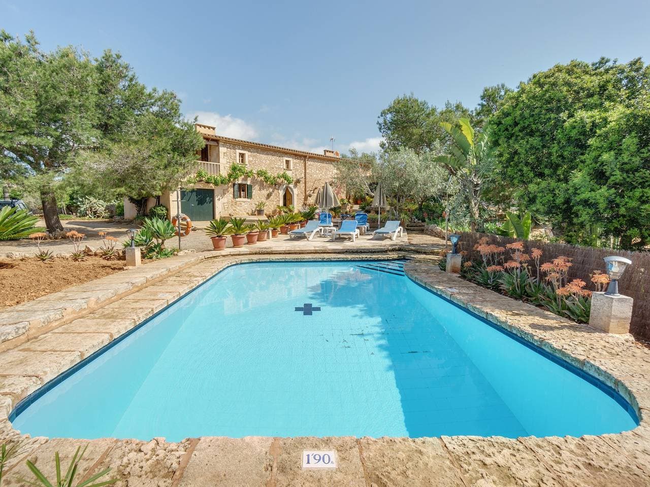 Finca Sa Punta 1