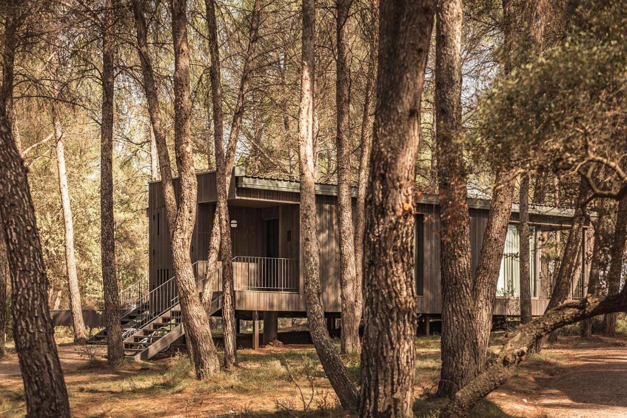 Foto 11 von 29: Forest View Cottage