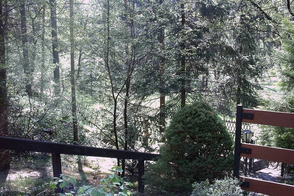 Foto 11 von 15: Idyllisches Ferienhaus im Cranach-Wald bei Lutherstadt Wittenberg