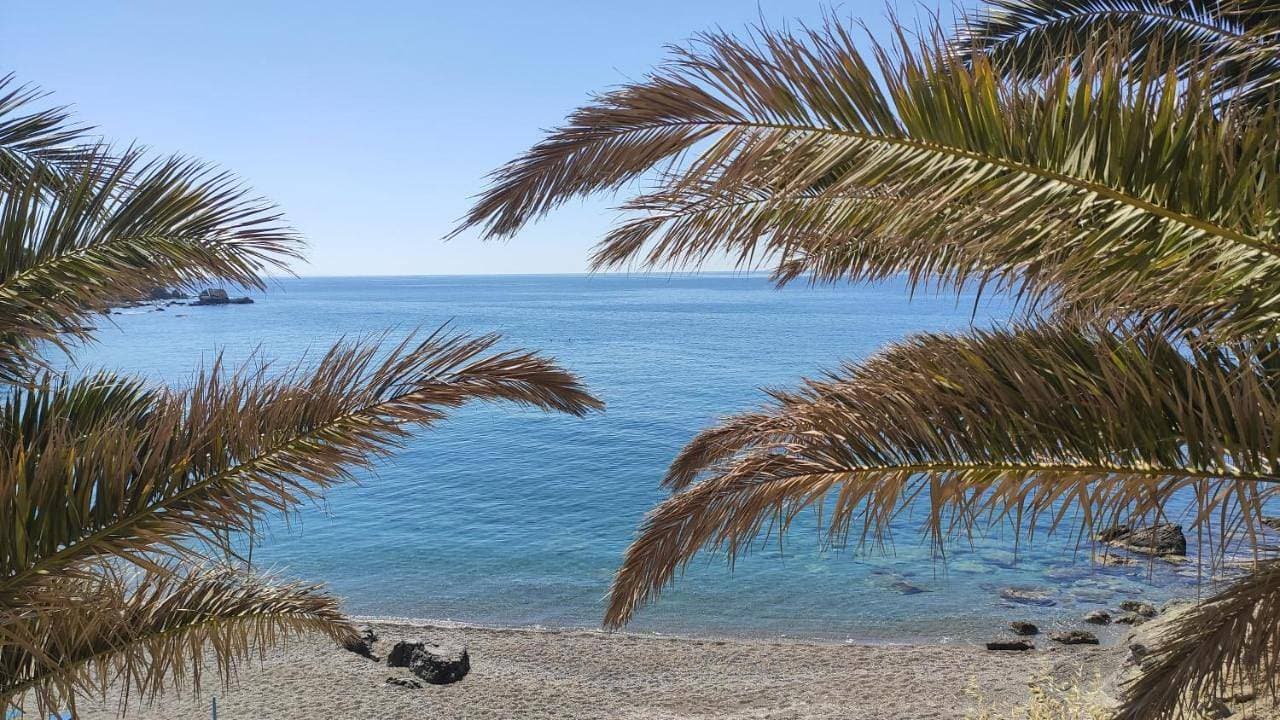 Blue Paradise 1