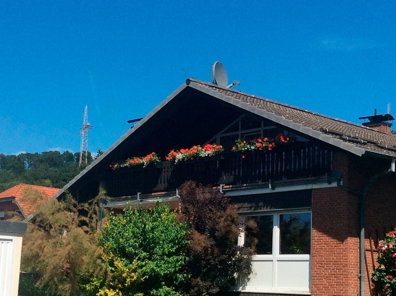 Foto 2 von 24: Ferienwohnung am Harz