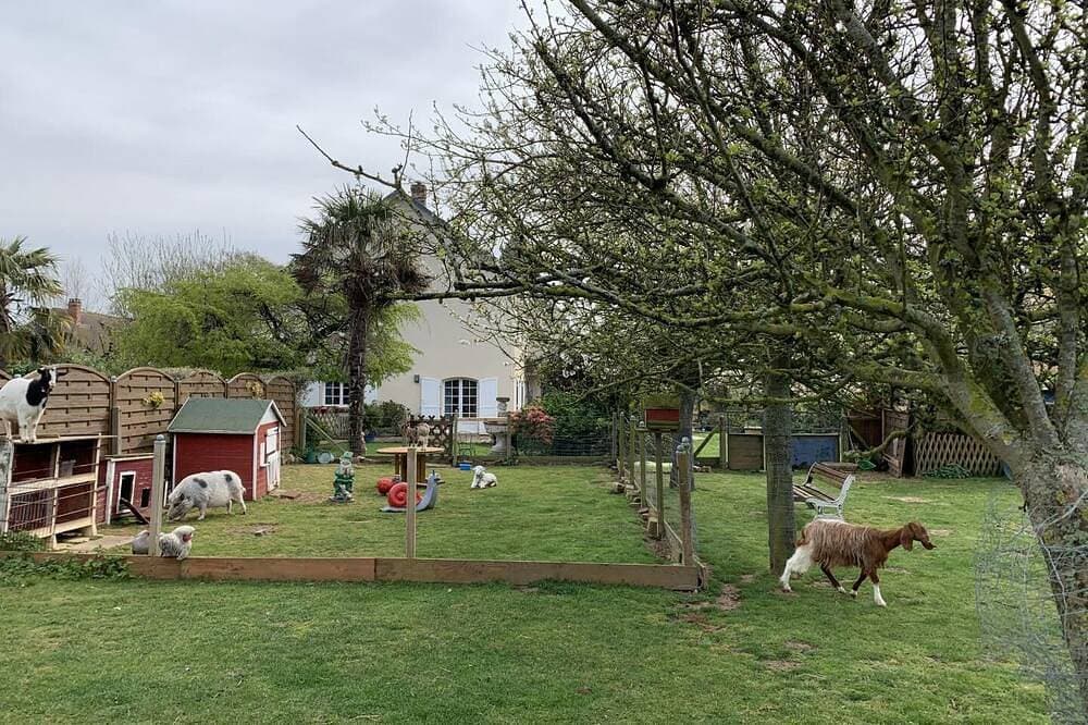 Foto 11 von 30: Bienvenue Chez les Biquettes