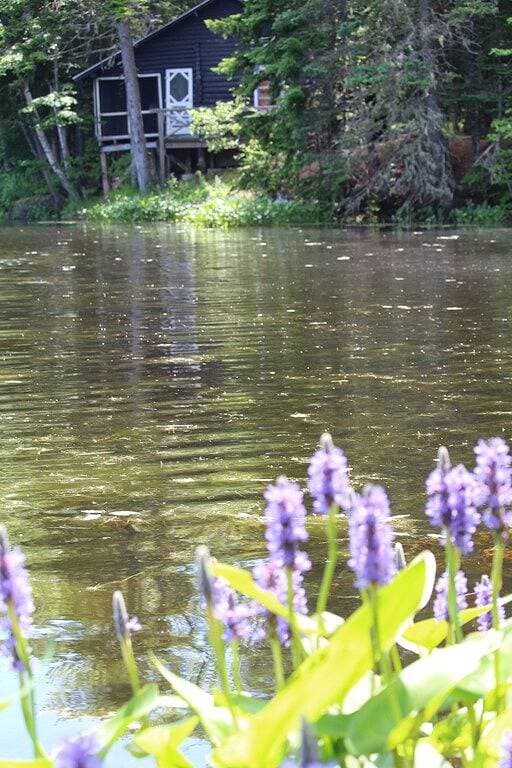 Foto 12 von 25: Haustierfreundlich Vollständig ausgerüstete Hütte mit Blick auf das Wasser in Downeast Maine, 4 Schlafplätze