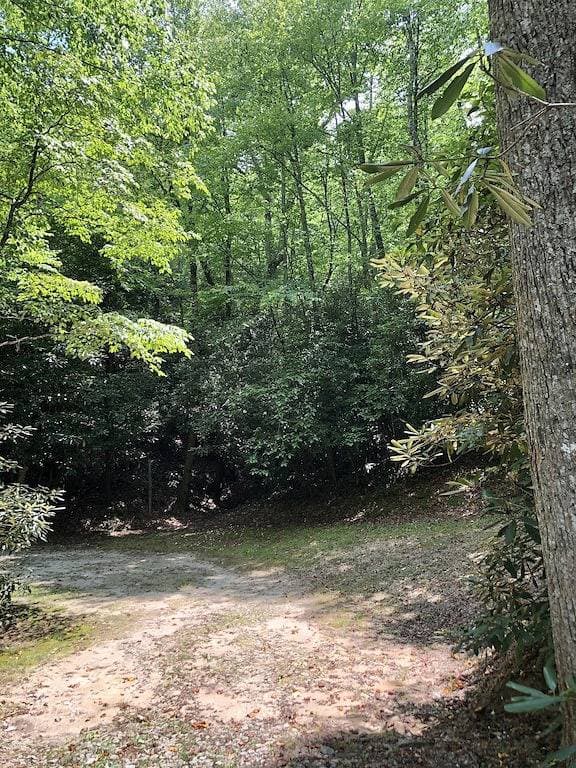 BearPaw Cabin- Charming and cozy cabin in the woods- WiFi-Pet Friendly-Secluded 1