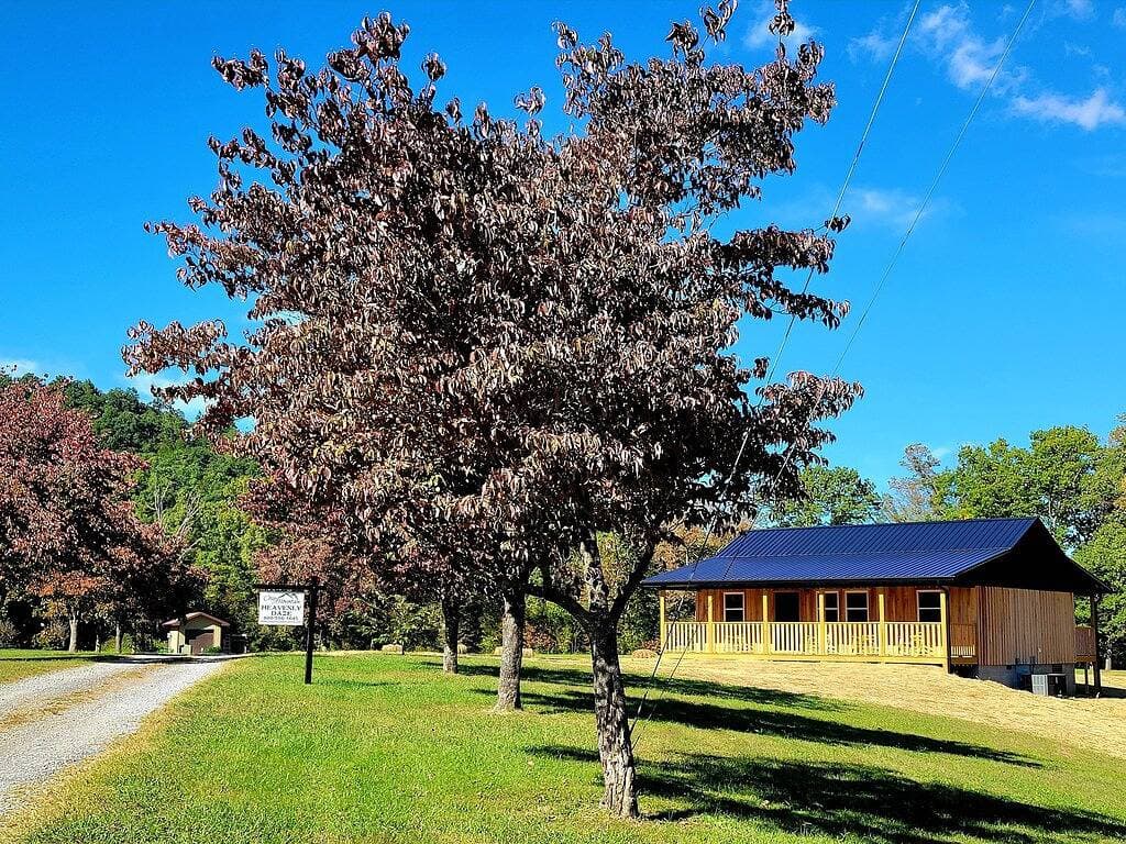 Foto 6 von 41: Heavenly Daze!!! Mountain Getaway!!!!
