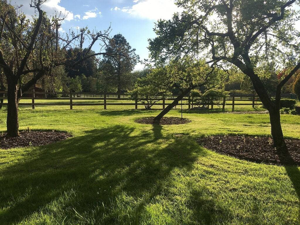 BunkHouse Retreat in der Minto-Brown-Insel Salem Oregon 1