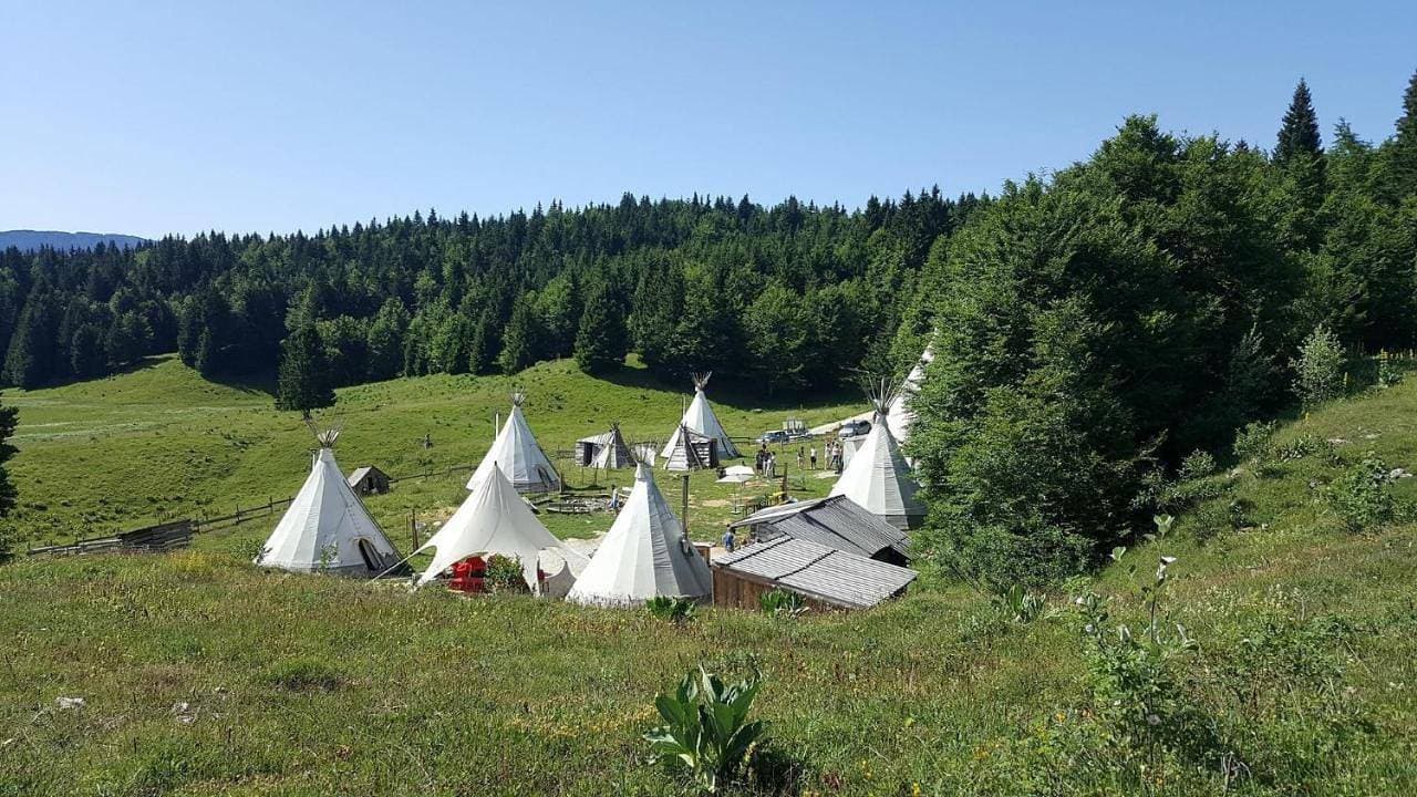 Foto 4 von 39: Tent