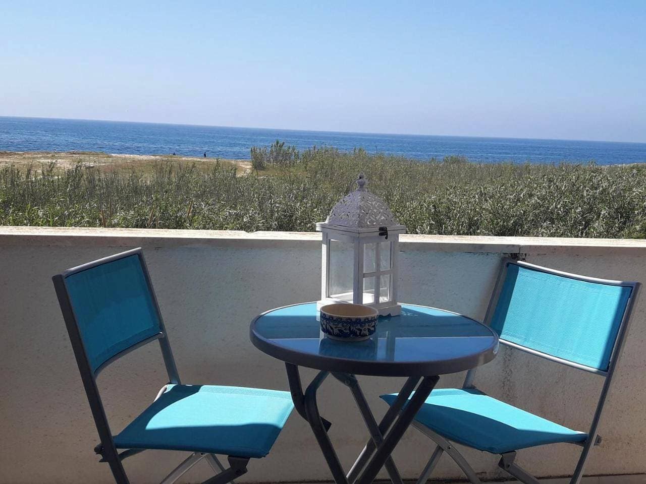 Stella marina 1