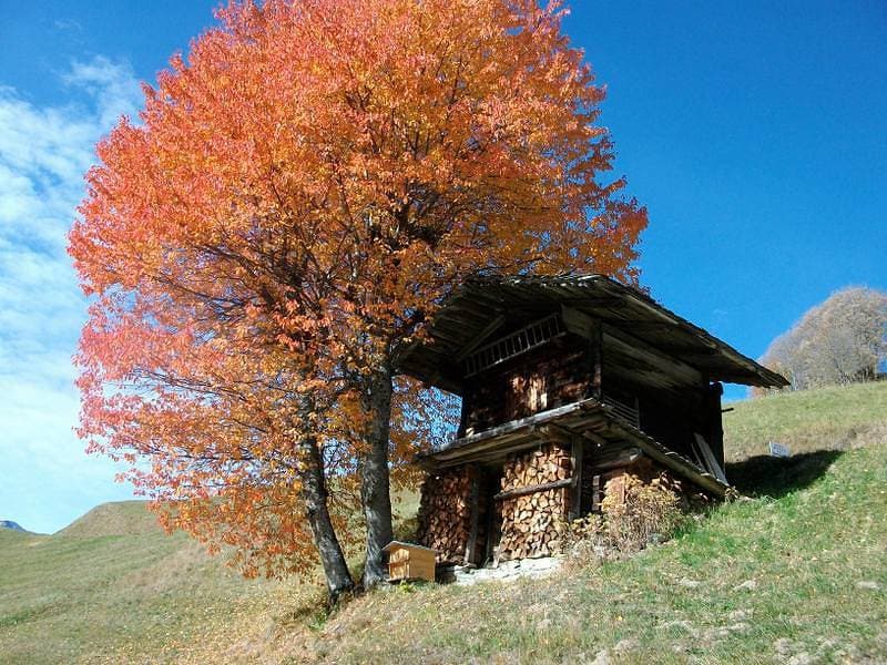Foto 11 von 21: La Roche Parstire