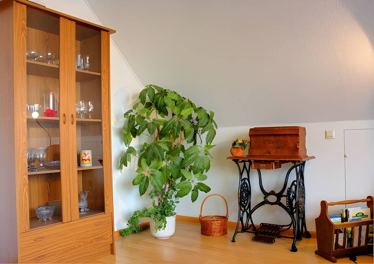 Foto 4 von 13: Ferienwohnung 'Wehrle' mit Gemeinschaftsgarten und Wi-Fi