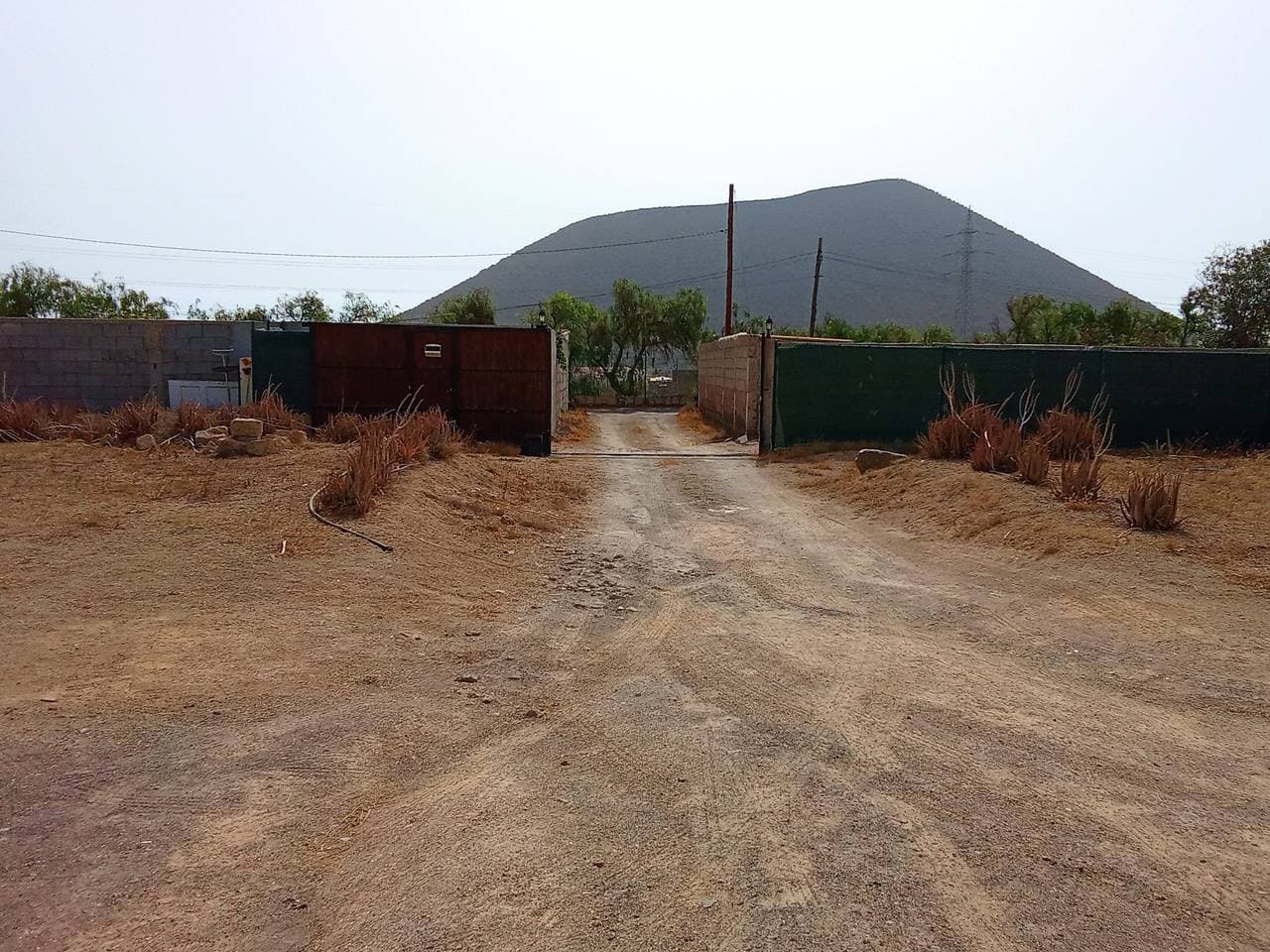 Foto 7 von 37: Live Socorro Juanfu