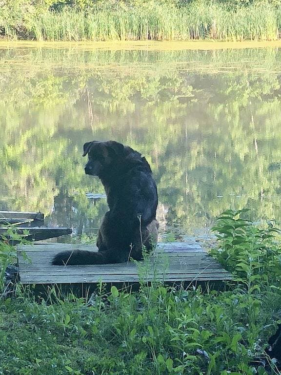Foto 11 von 20: Dantes Den in der Natur