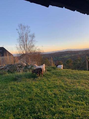 Foto 5 von 9: Double Room with Mountain View