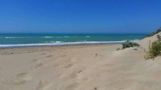 Foto 5 von 10: Apartment with Sea View
