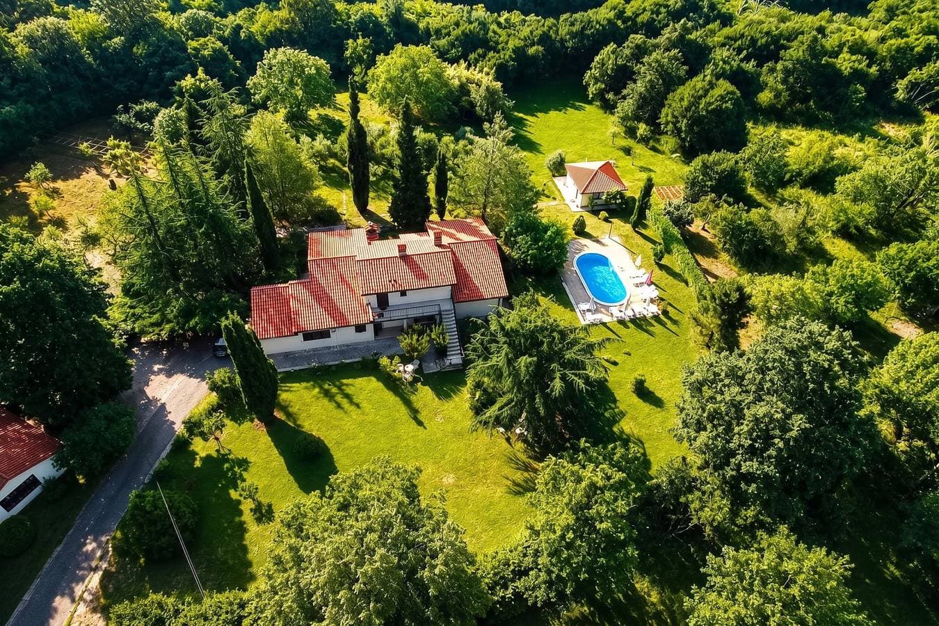 Marisa Olive Grove - App Sole 1