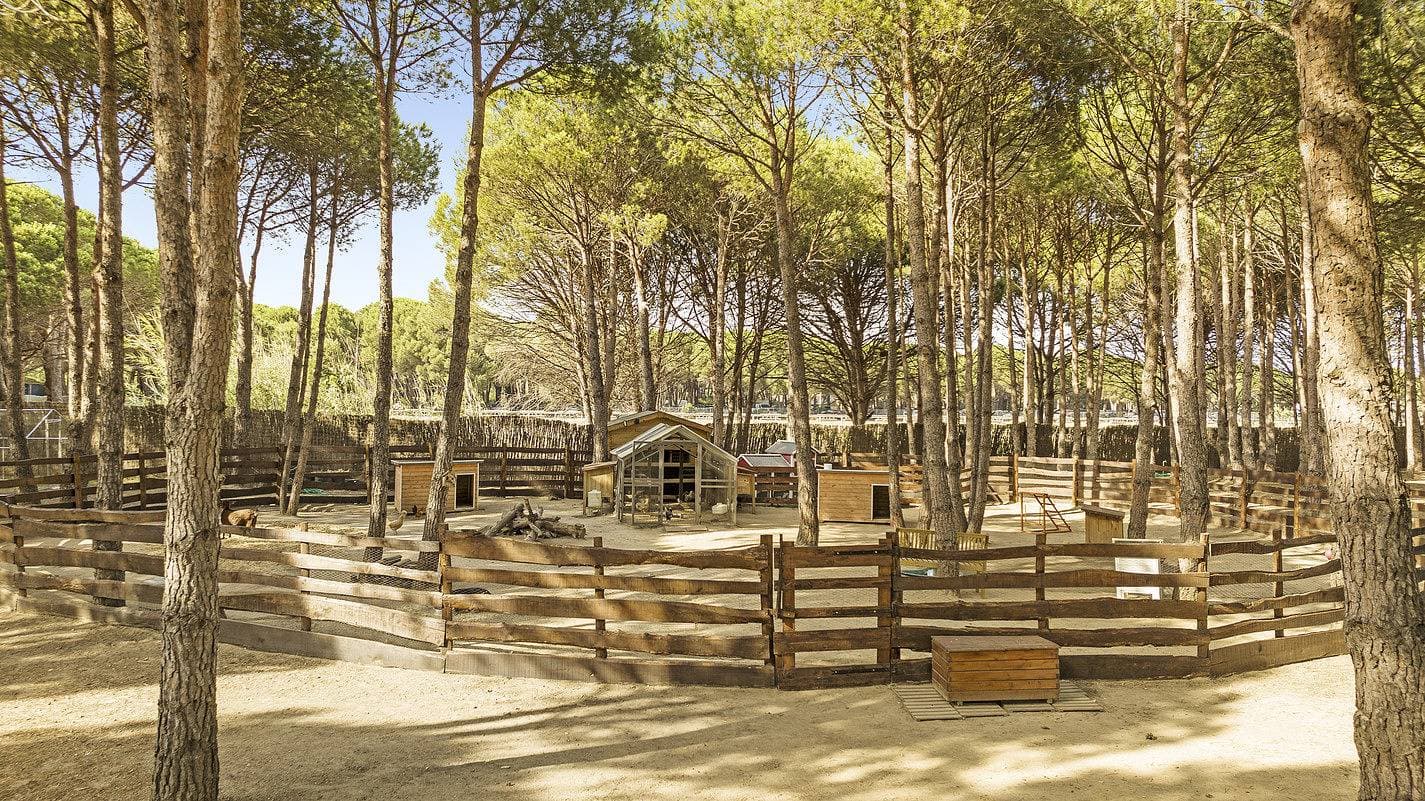 Foto 6 von 105: Villa La Ferme Ramatuelle avec piscine