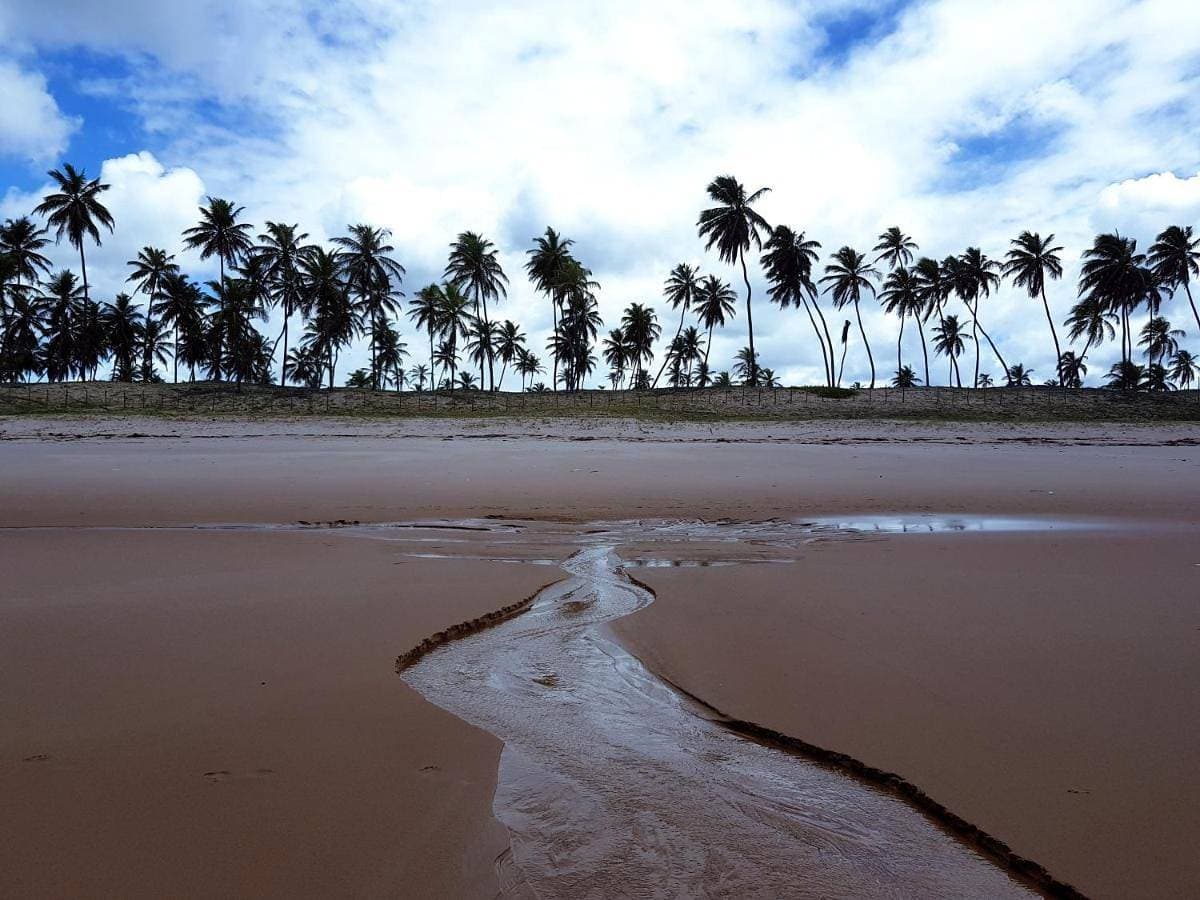 Rosagash Paradise - Praia de Santo Antonio 1
