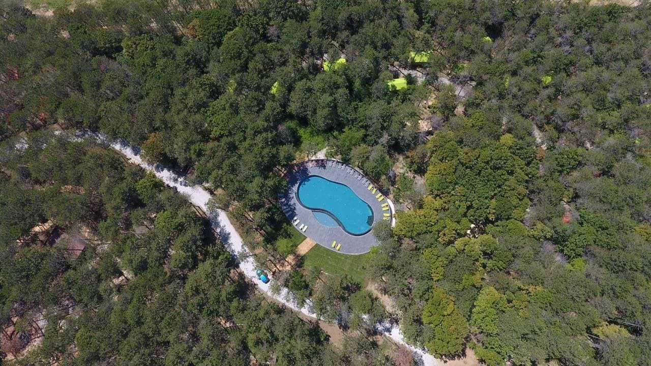 Longosphere Glamping 1