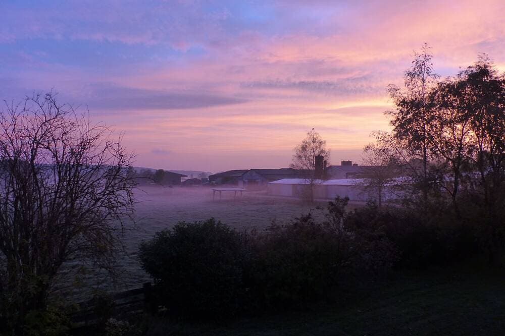 Foto 11 von 12: Gite Nature les Cigognes (sleeps up to 13), Pets welcome