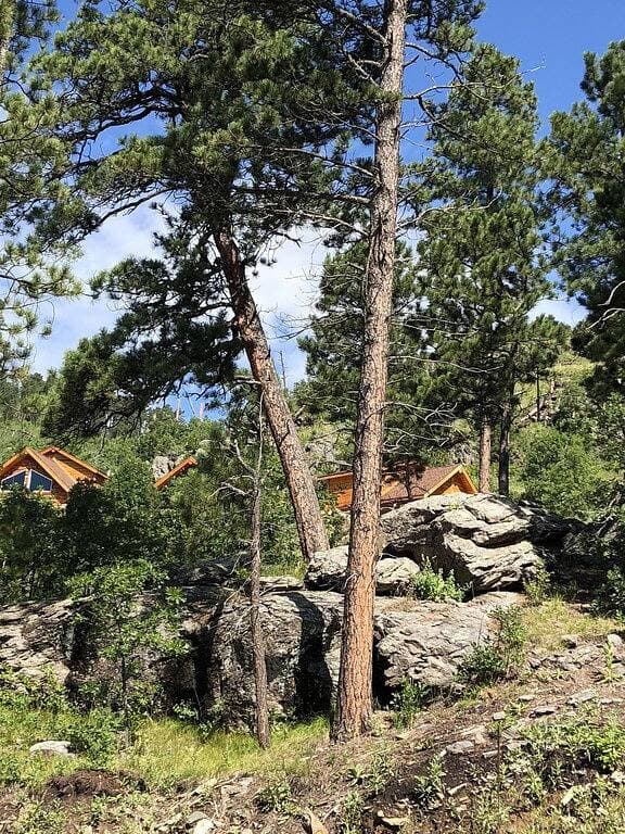 Foto 8 von 29: Big Mountain Cabins - Ein modernes, rustikales Erlebnis - Neu in 2018, für 2 bis 6 Personen