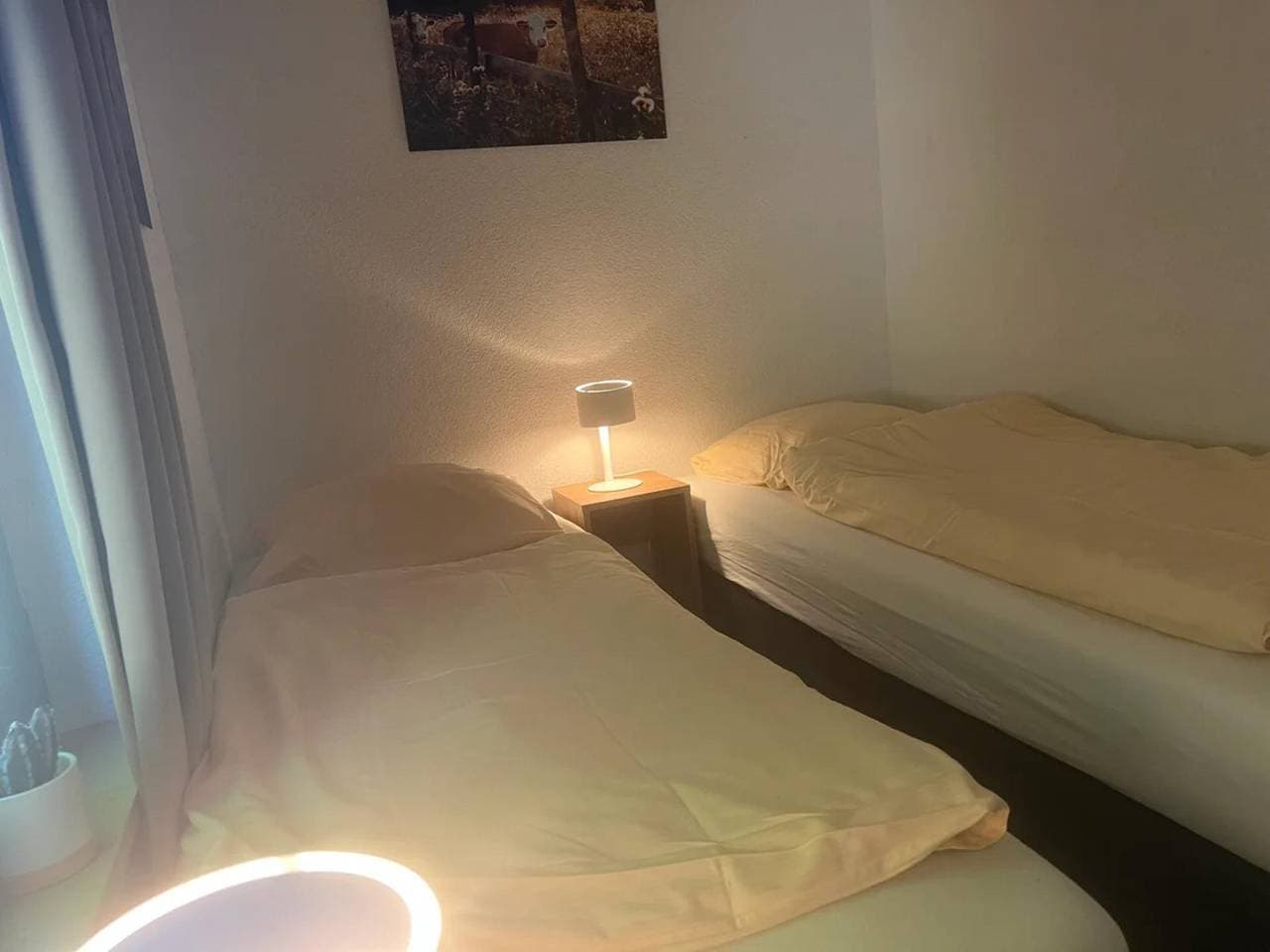 Foto 12 von 51: Haus Ronja 14 tage
