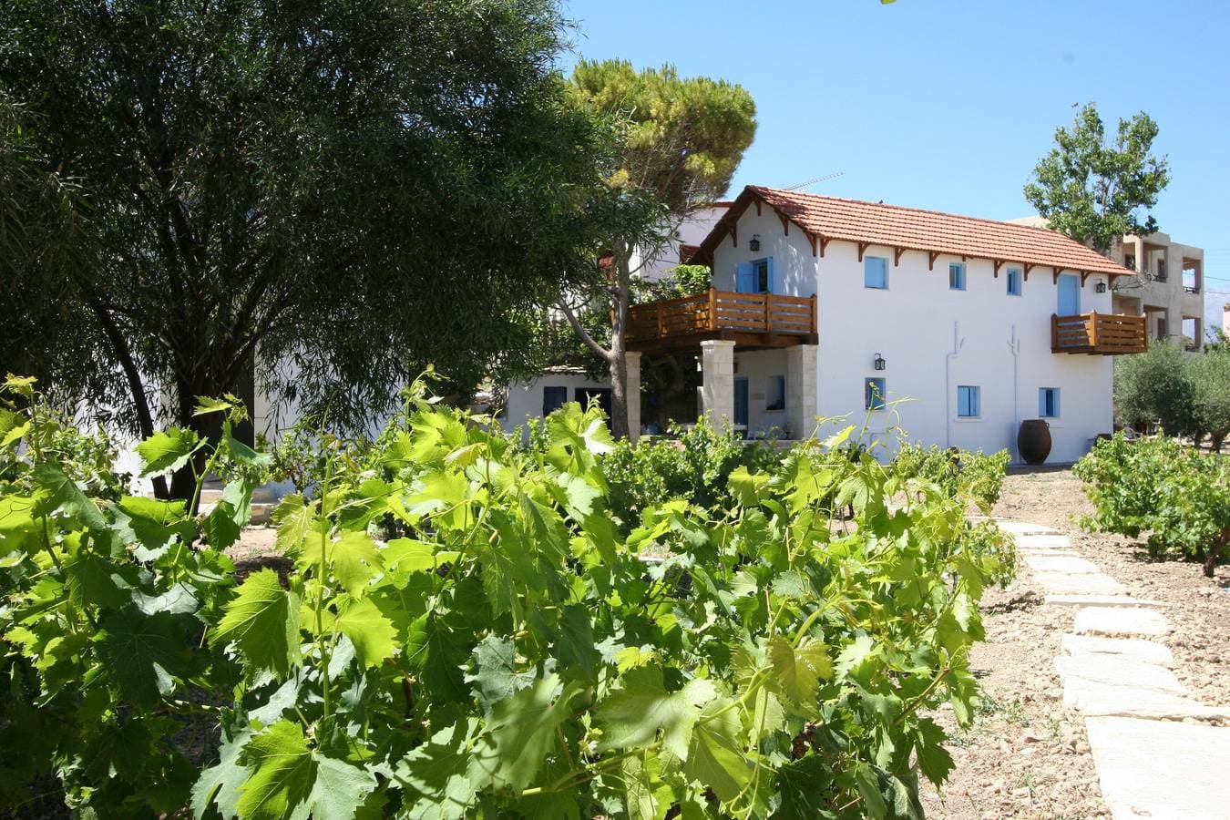 Foto 11 von 45: Villa Antonia – Privates Anwesen mit Windmühle, wenige Schritte zum Strand von Almyrida