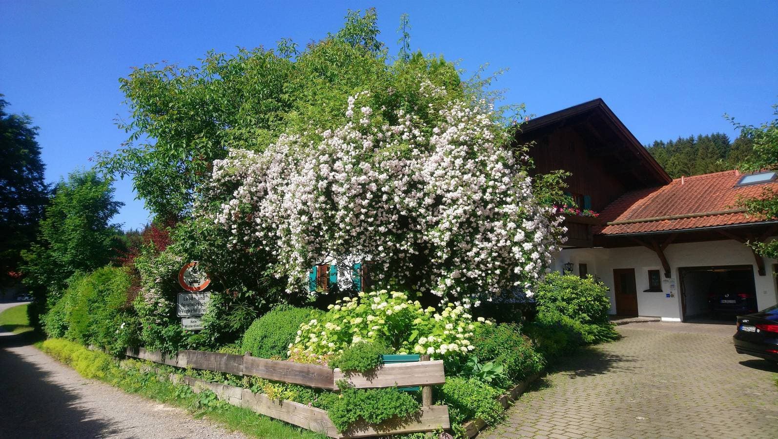 Foto 2 von 17: Fewo Schwalbennest, Königscard