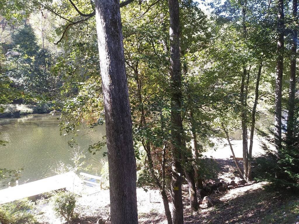Foto 12 von 16: Charming Waterfront Cabin Auf dem Oconaluftee River nennen wir \"The Love Nest\".