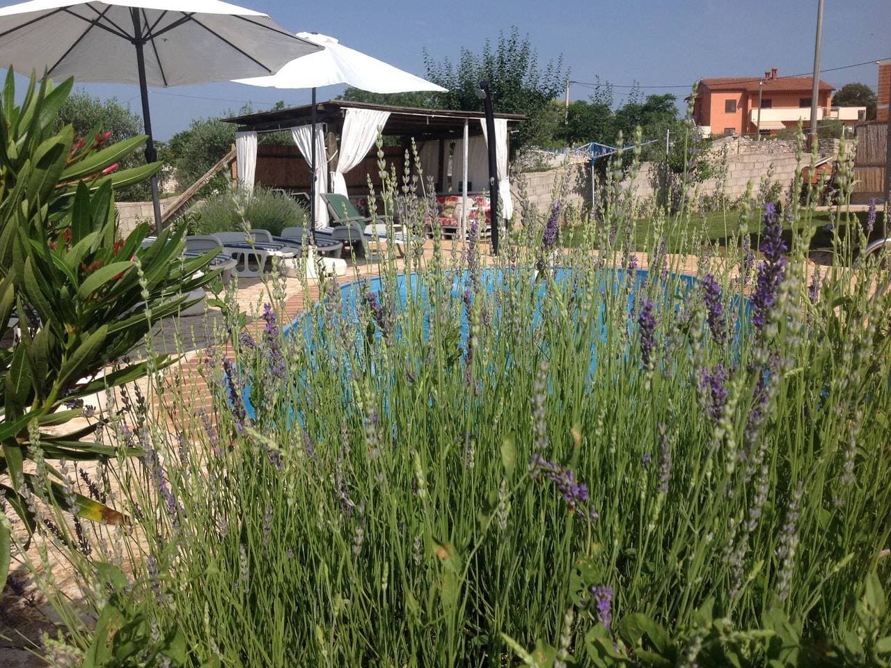Foto 12 von 60: In Bratulići mit Privatem Pool