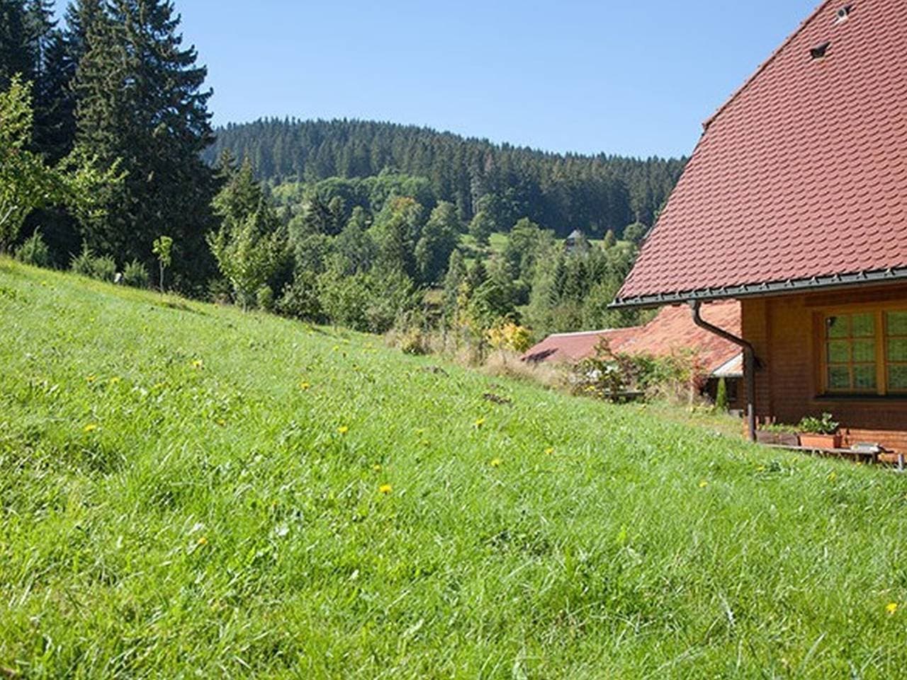 Foto 10 von 30: Ferienwohnung 'Morgensonne' mit Bergblick, gemeinsamer Terrasse und WLAN