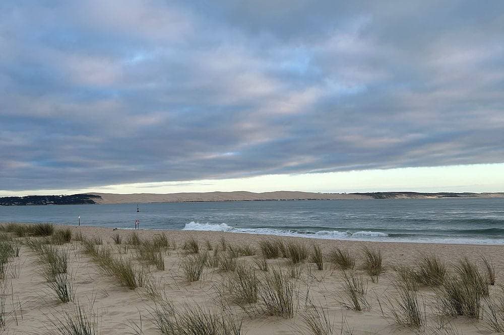 Charm and wild nature for this apartment with terrace in the middle of the dunes 1
