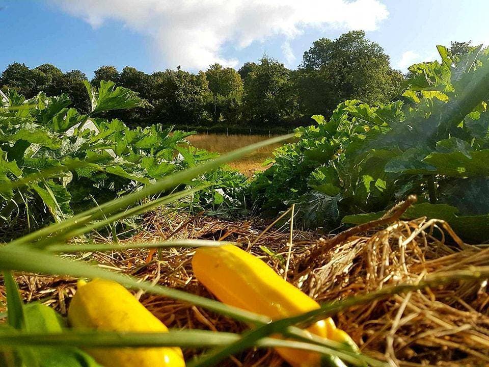 Foto 5 von 32: Gîtes de France® - Les Ecuries du Mesnil aux Moines