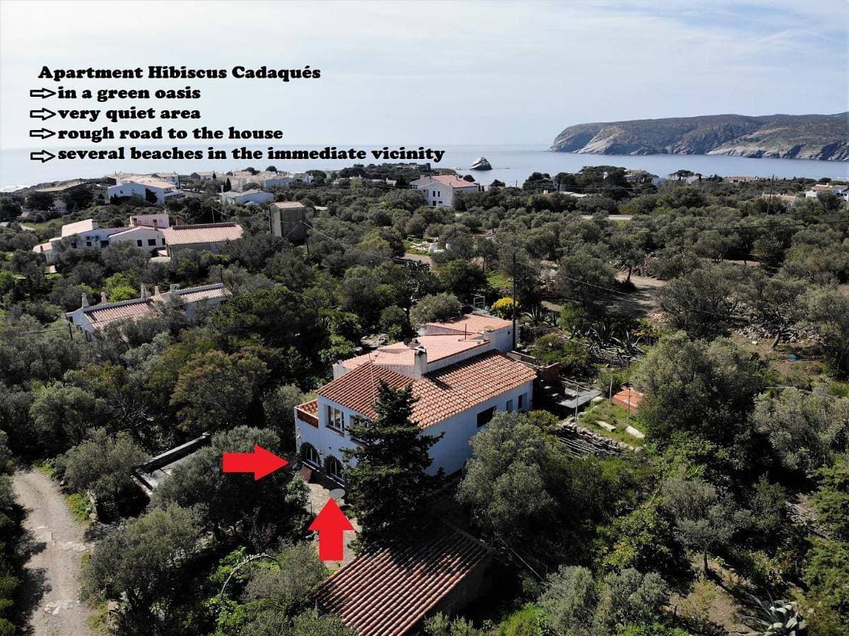 Apartment Hibiscus Cadaqués 1