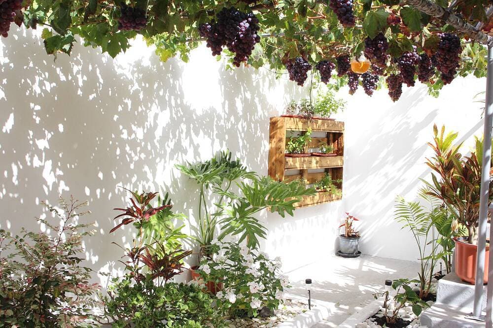 Foto 7 von 29: Ferienhaus mit Garten im Zentrum von Agaete: Casa Carmela